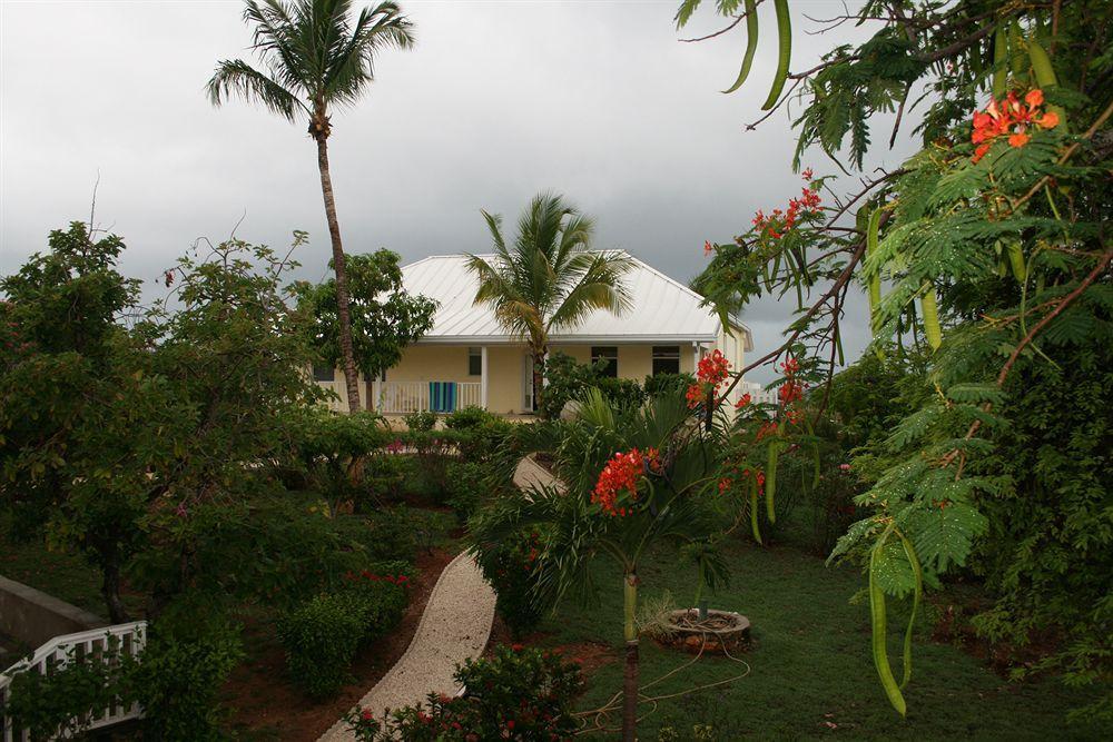 普安特小屋公寓式酒店 Governor's Harbour 外观 照片
